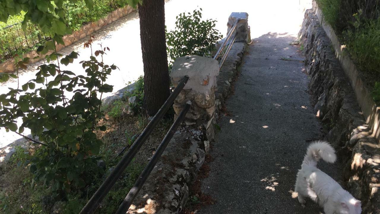 El Mirador Del Chorrillo Βίλα Olmeda de las Fuentes Εξωτερικό φωτογραφία